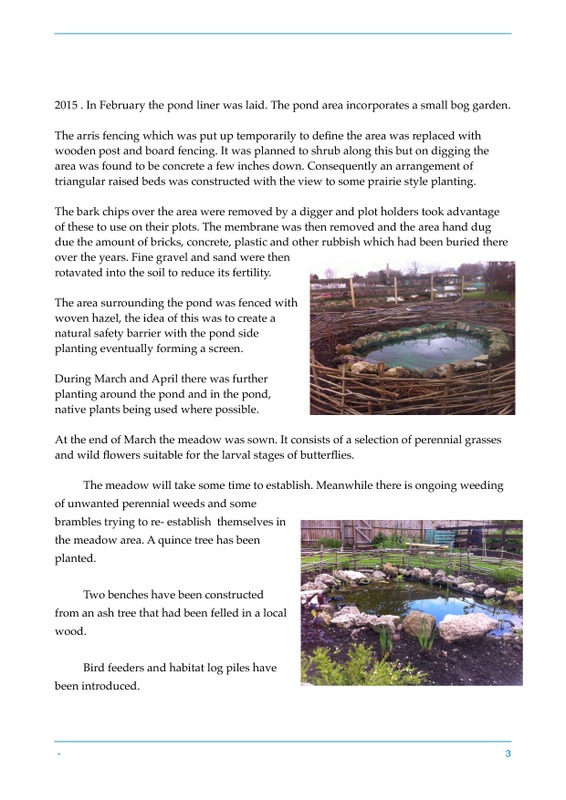 Butterfly blog-page-2