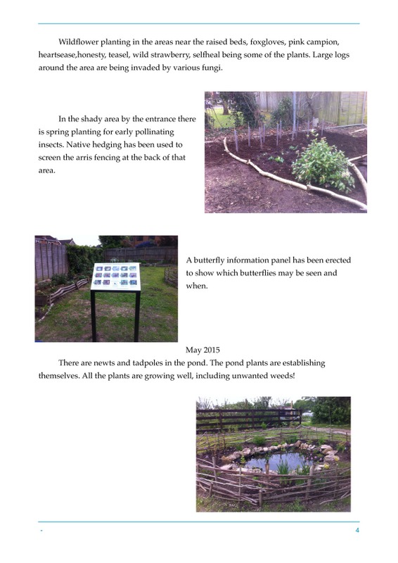 Butterfly blog-page-3 1